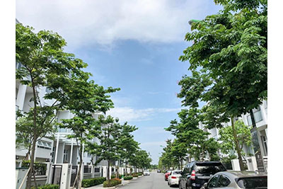 Bán biệt thự khu K Ciputra, dt 180m, 5 phòng ngủ hướng Nam, view sân Golf 