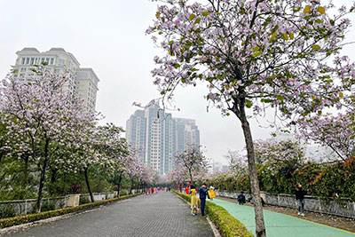 Bán Duplex Penthouse tòa P Ciputra, hướng Đông Nam, 279m2