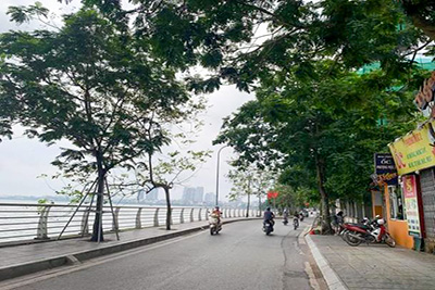 Bán mảnh đất VIP nhất mặt Phố Từ Hoa, 181m, MT 11m, Lô góc, 2 mặt thoáng,giá cực rẻ