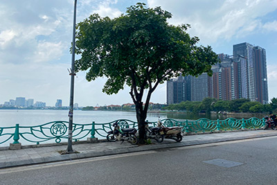 Cần bán bất động sản đẳng cấp - Nhà mặt phố tại Quảng Khánh, quận Tây Hồ 